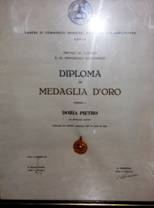 diploma